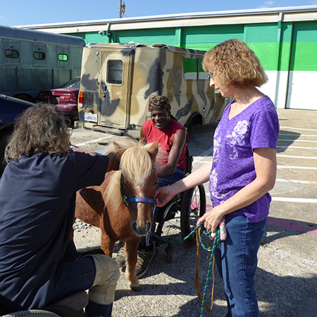 Nancy brings her miniature horse up to the institute for a visit.