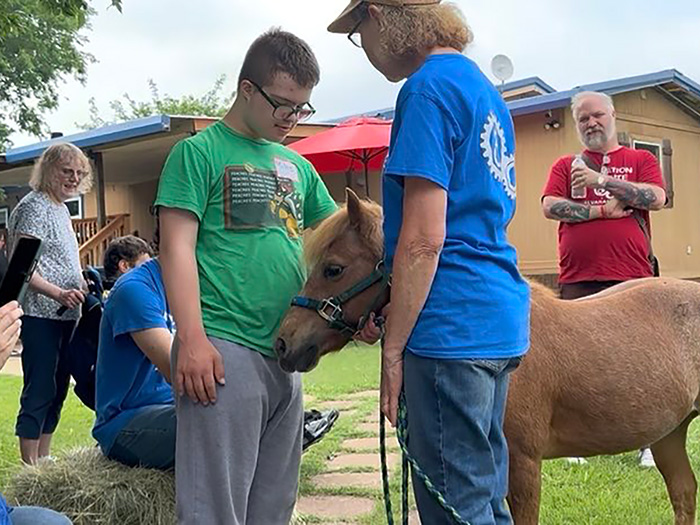 People petting mini horse